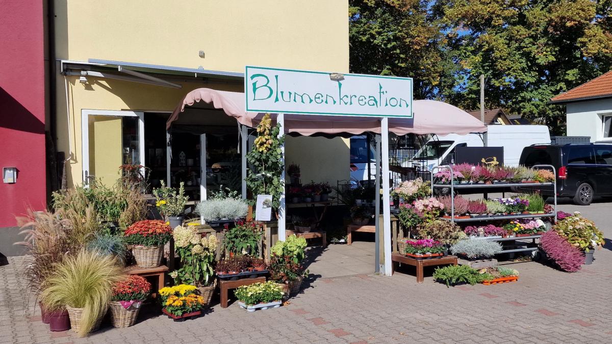 Bild von der Webseite von Blumenkreation